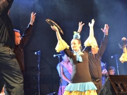 Festival de Folkore en Mula